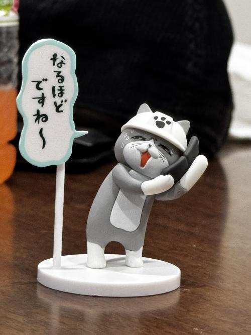 조아쓰 냥이